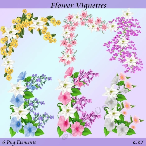 Flower Vignettes
