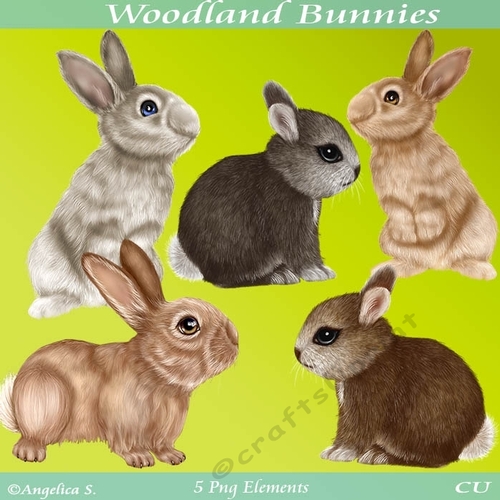 Woodland Bunnies