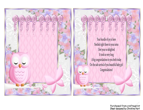 Baby Girl Pink Owl toppers and verse