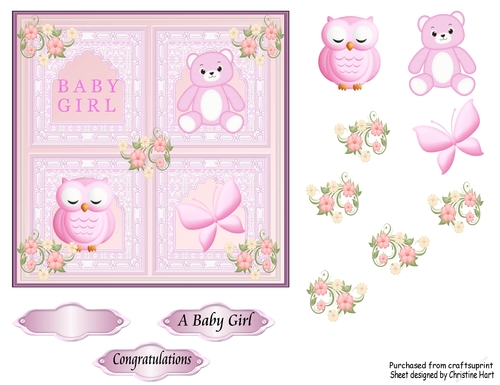 Congratulations A Baby Girl