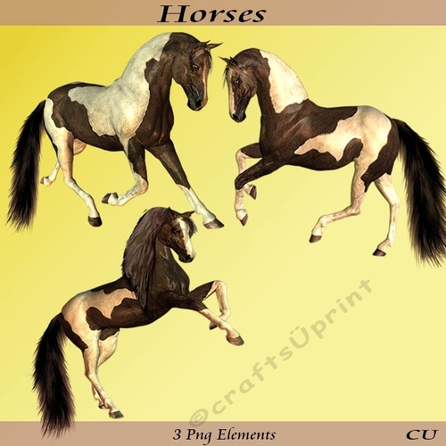 Three Horses in Png Format