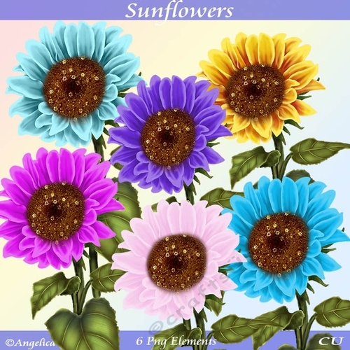 Sunflowers