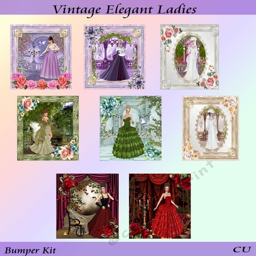 Vintage Elegant ladies Bumper Kit Fronts/Toppers
