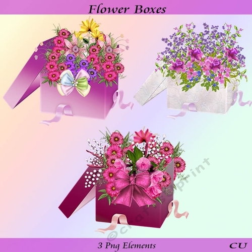 Flower Boxes