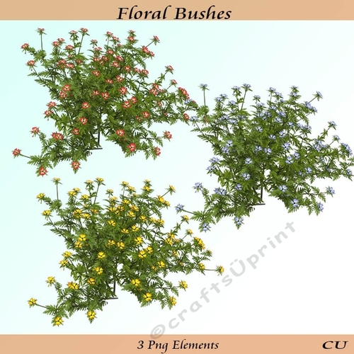 Floral Bushes
