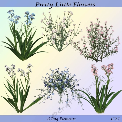 pretty Little Flowers