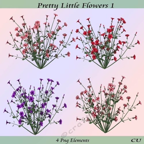pretty Little Flowers 1