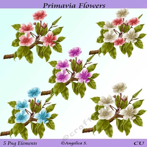 Primavia Flowers