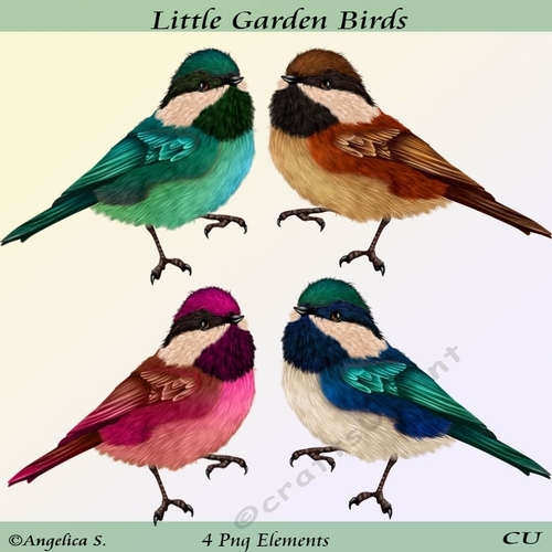 Little Garden Birds Png
