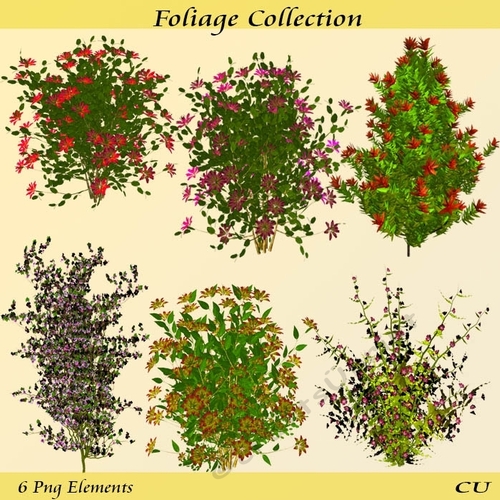Foliage Collection Png
