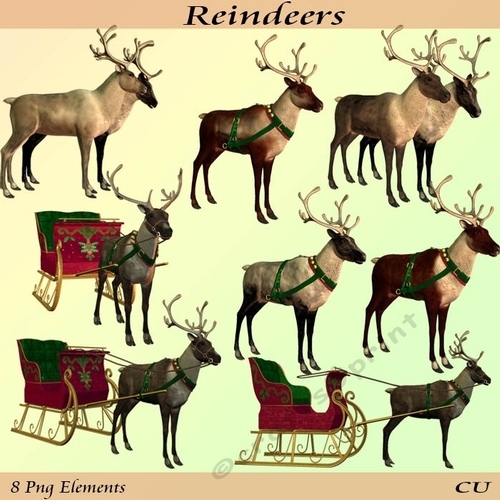 Reindeers png