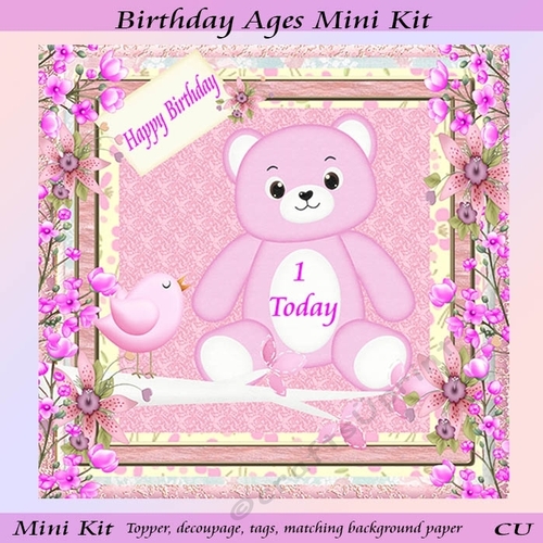 Birthday Ages Mini Kit