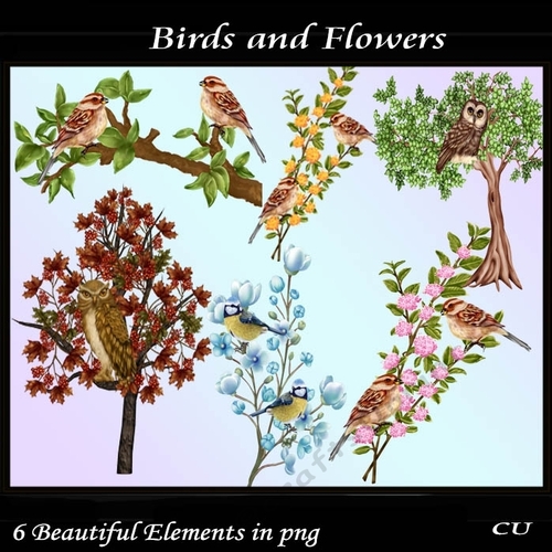 Birds and Flowers 