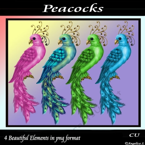 Peacocks Png
