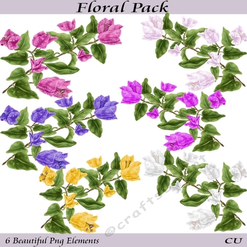 Floral Pack