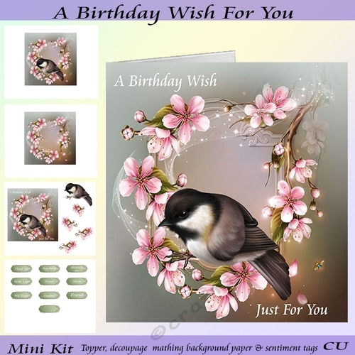 A Birthday Wish For You Mini Kit