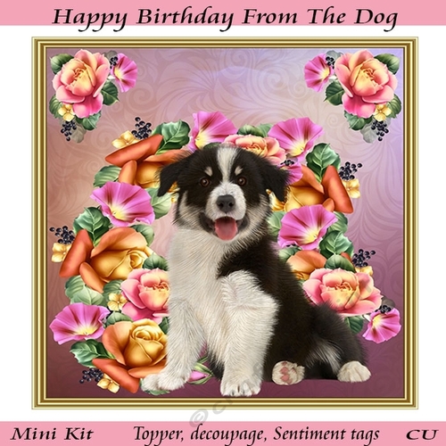 Happy Birthday From The Dog Mini Kit
