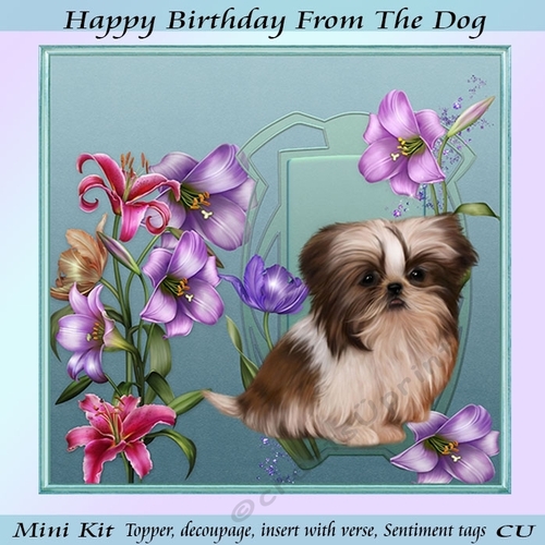 Happy Birthday From The Dog 1 Mini Kit