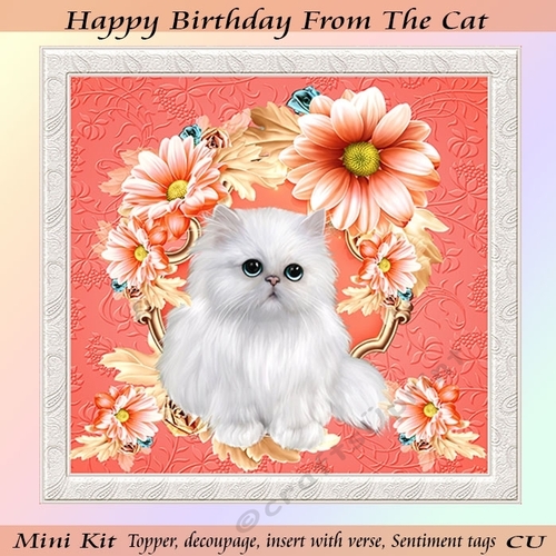 Happy Birthday From The Cat Mini Kit