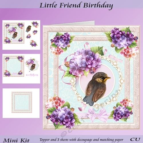 Little Friend Birthday