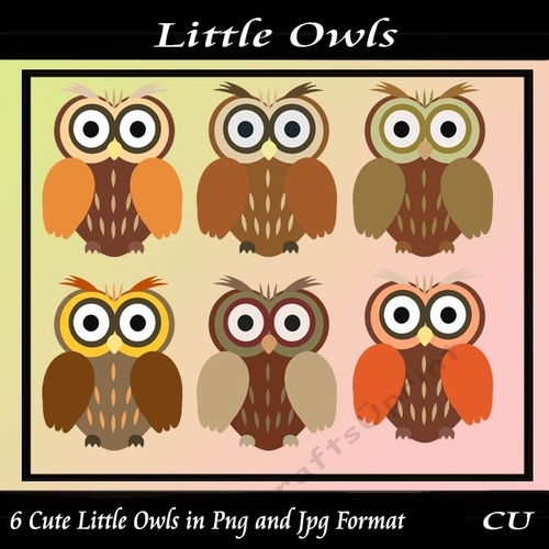 Little Owls 