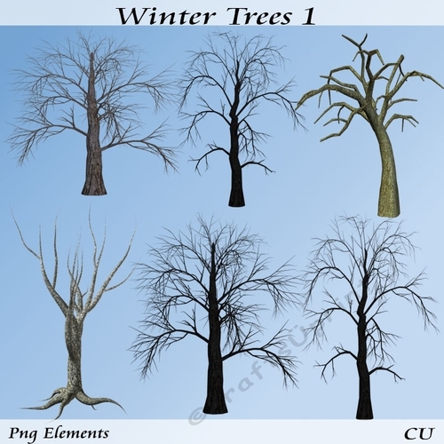 Winter Trees 1 Png