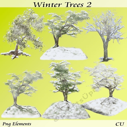 Winter Trees 2 Png