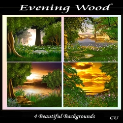 Evening Wood Backgrounds