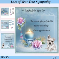 Loss of Your Dog Sympathy Mini Kit