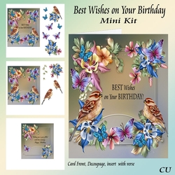 Best Wishes On Your Birthday Mini Kit