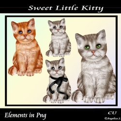 Sweet Little Kitty Png