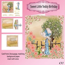 Sweet Little Teddy Birthday Mini Kit