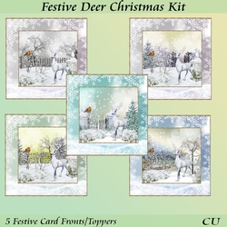 Festive Deer Christmas Kit