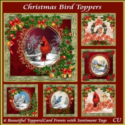 Christmas Bird Toppers Bumper Kit with Sentiments