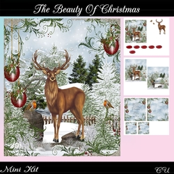 The Beauty of Christmas Mini Kit
