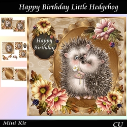Happy Birthday Little Hedgehog Mini Kit