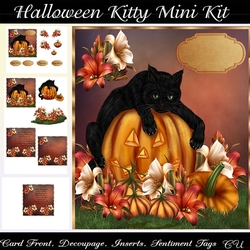 Halloween Kitty Mini Kit