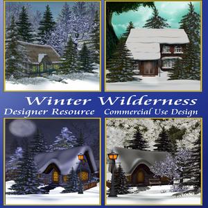 Winter Wilderness