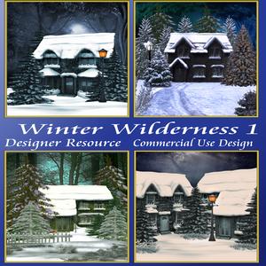 Winter Wilderness 1
