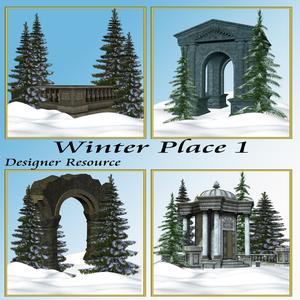 Winter Place 1