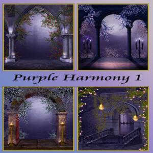 Purple Harmony 1
