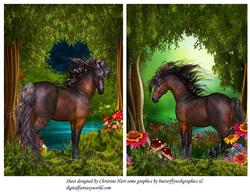Wild Horse
