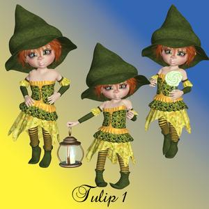 Tulip 1