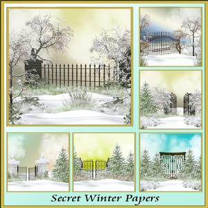 Secret Winter Papers