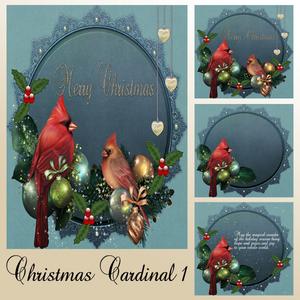 Christmas Cardinal 1