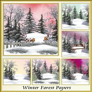 Winter Forest Backgrounds