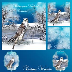 Festive Winter