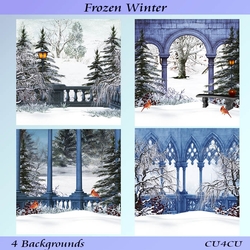 Frozen Winter