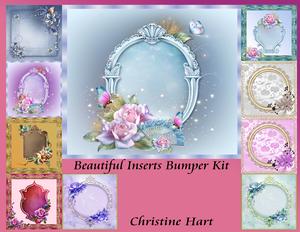 Beautiful Inserts