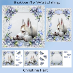 Butterfly Watching